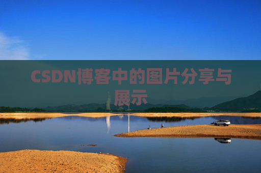 CSDN博客中的图片分享与展示